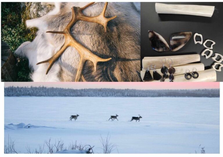 Sarvet ja saparot kiertoon & Tuottajasta moniosaaja