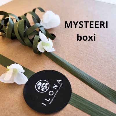 MYSTEERI-boxi_20260318_110035_0000-1