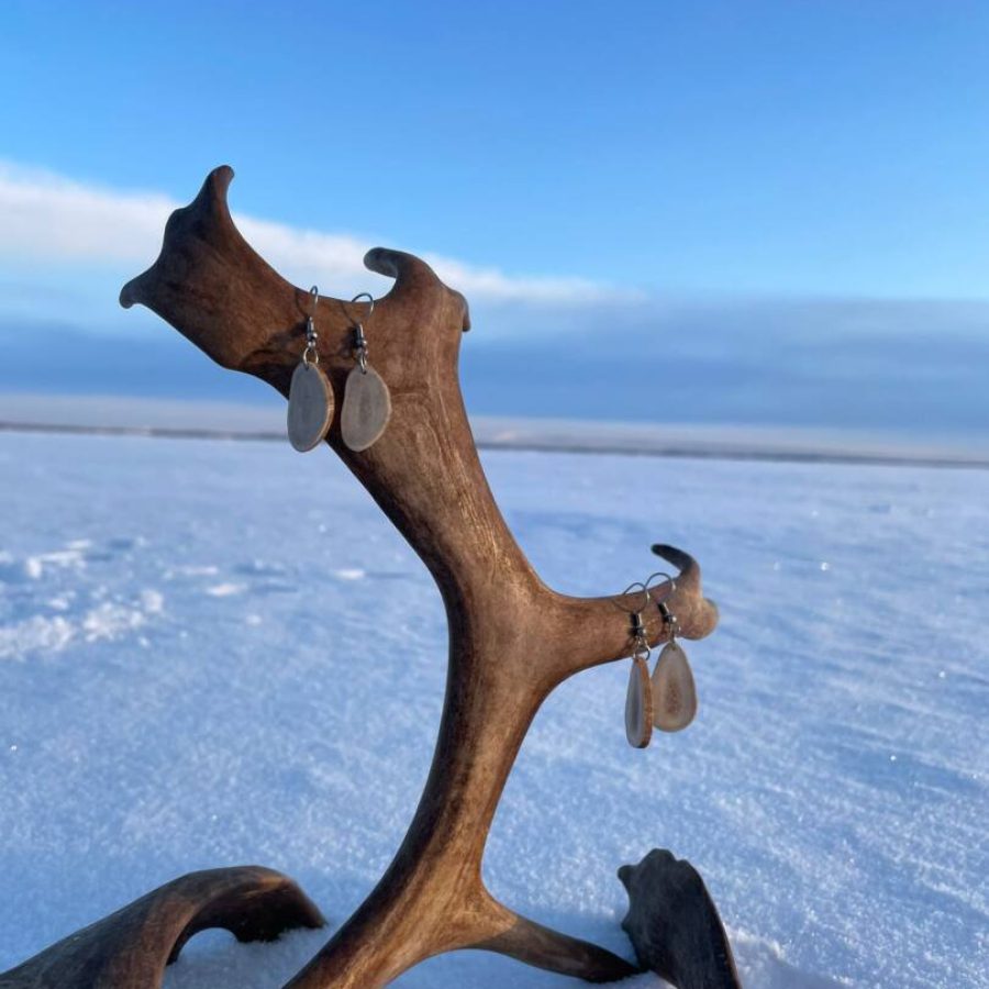 WhatsApp-Image-2026-01-05-at-16.49.32-2